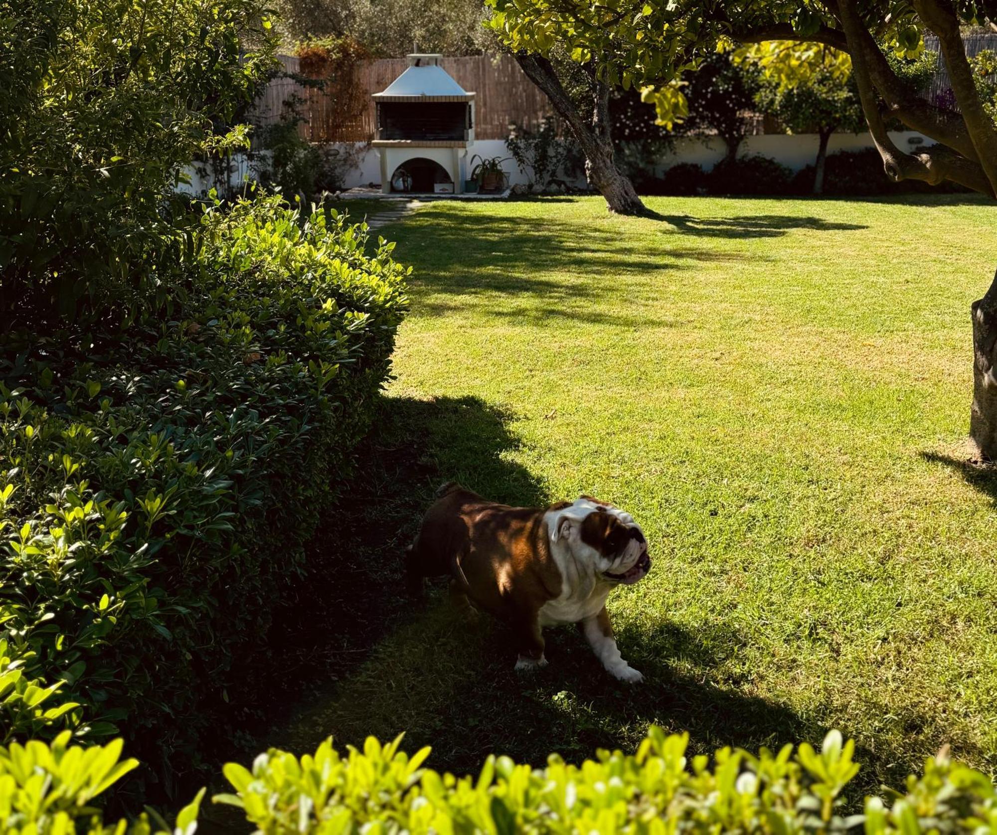 Archangelos Garden House 外观 照片